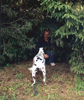 Bild5