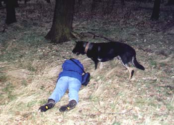Bild8