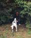 Bild5